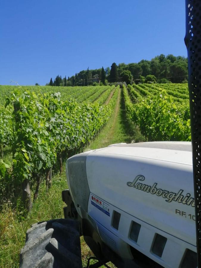Antico Borgo Di Sugame Villa Greve in Chianti Eksteriør bilde