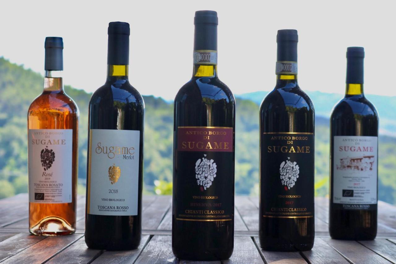 Antico Borgo Di Sugame Villa Greve in Chianti Eksteriør bilde