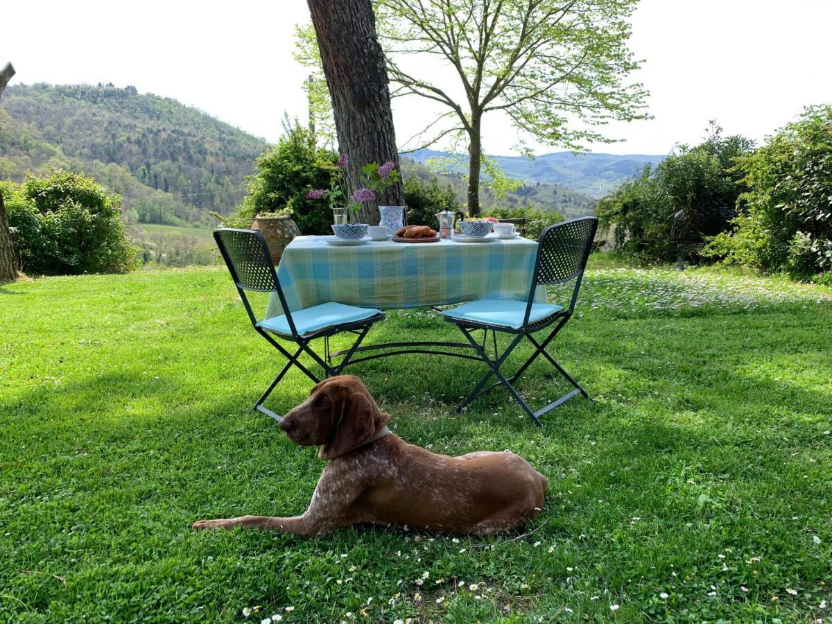 Antico Borgo Di Sugame Villa Greve in Chianti Eksteriør bilde
